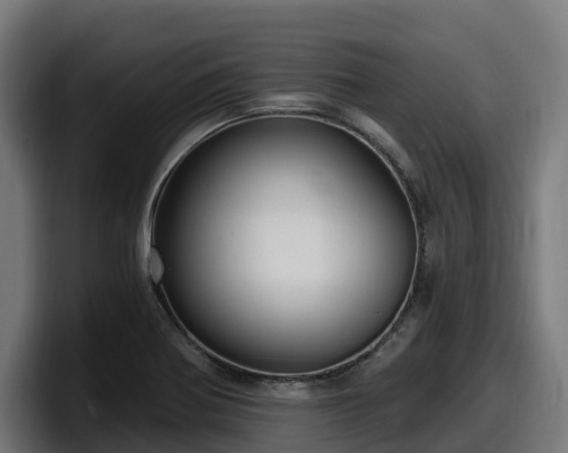 X0000097851370200803201529