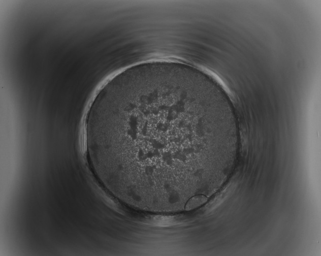 X0000097851371200803201529