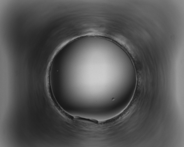 X0000097851375200803201529