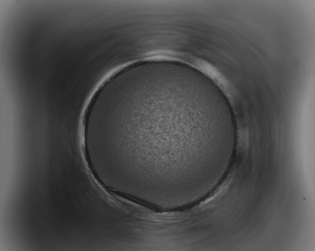 X0000097851376200803201529