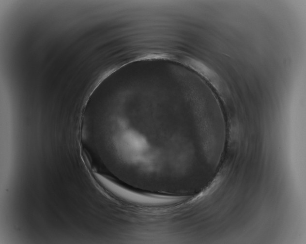 X0000097851377200803201529