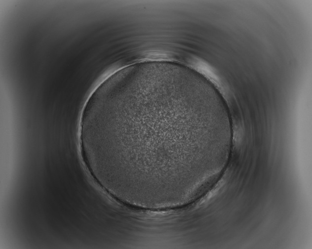 X0000097851378200803201529