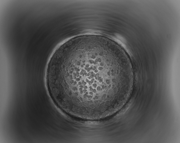 X0000097851379200803201529