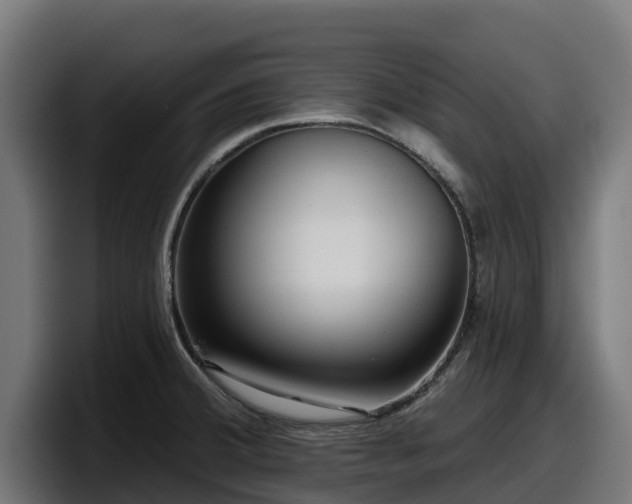 X0000097851380200803201529