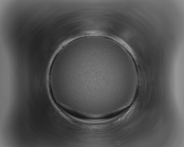 X0000097851381200803201529