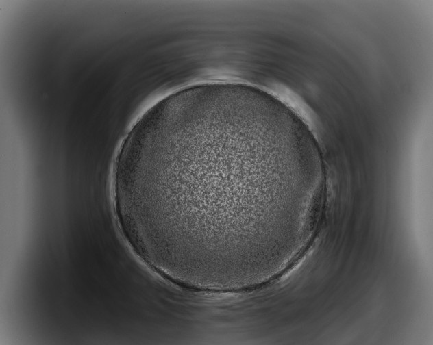 X0000097851382200803201529