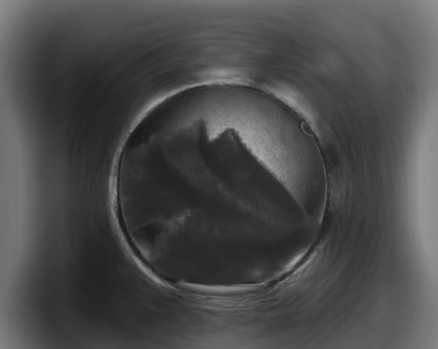 X0000097851383200803201529