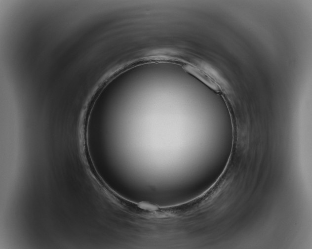 X0000097851384200803201529