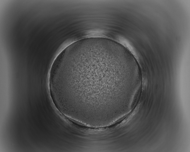 X0000097851386200803201529