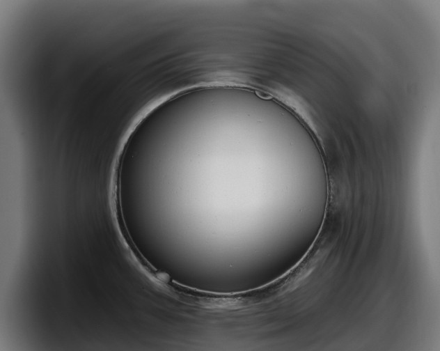 X0000097851387200803201529