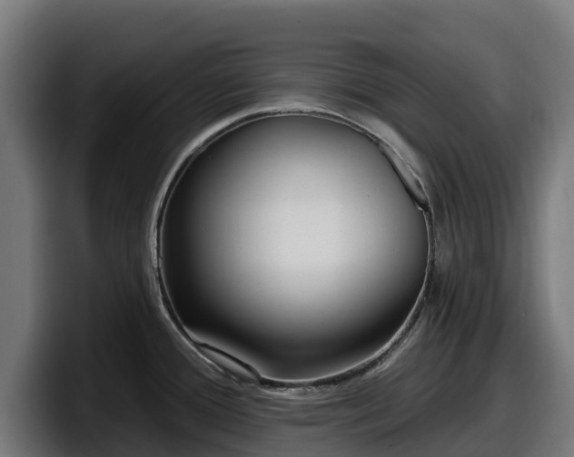 X0000097851388200803201529