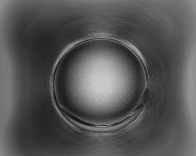 X0000097851389200803201529