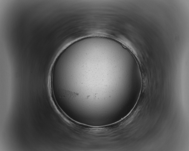 X0000097851391200803201529