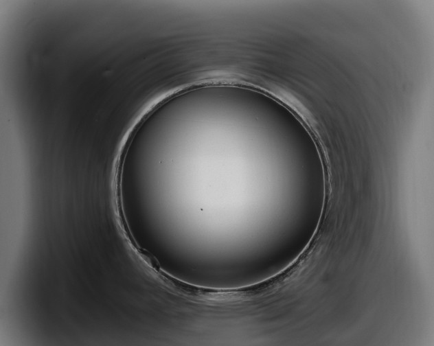 X0000097851392200803201529