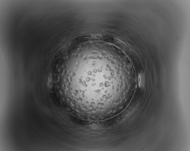 X0000097851395200803201528