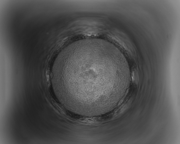 X0000097851396200803201528