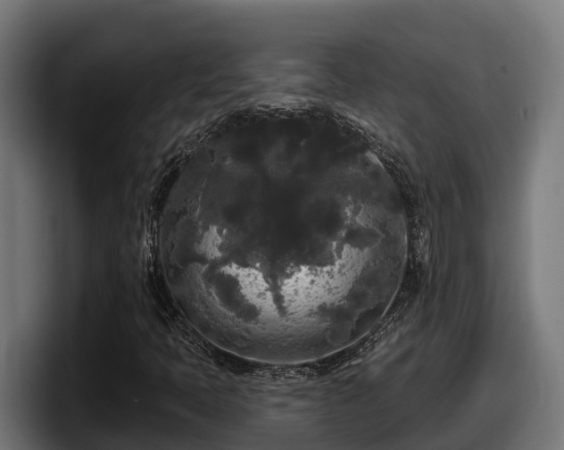 X0000097851397200803201528