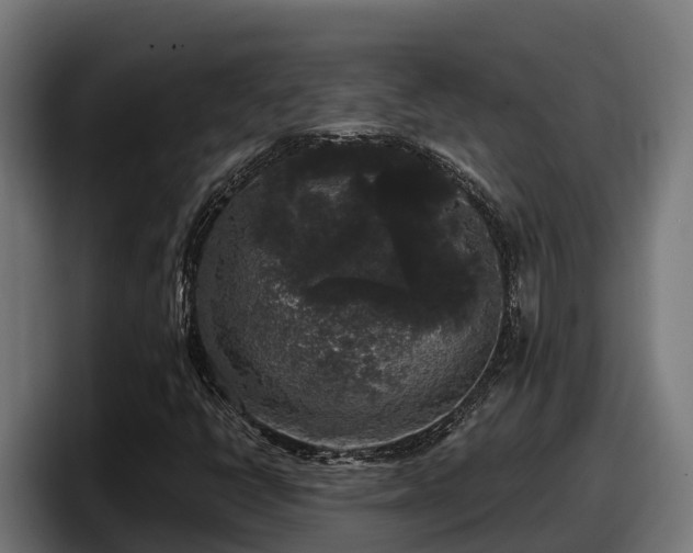 X0000097851398200803201528