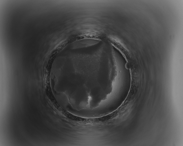 X0000097851399200803201528