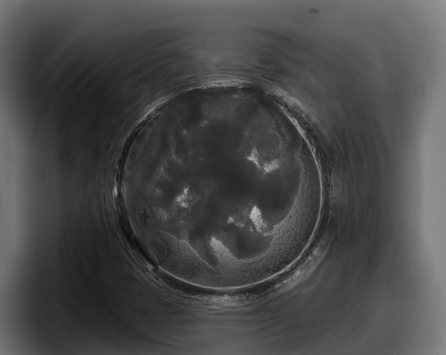 X0000097851401200803201528