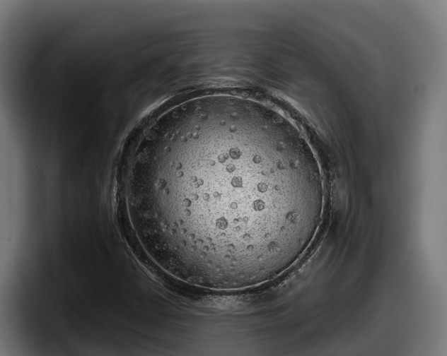 X0000097851402200803201528