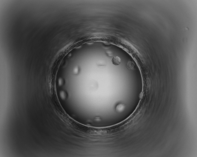 X0000097851403200803201529