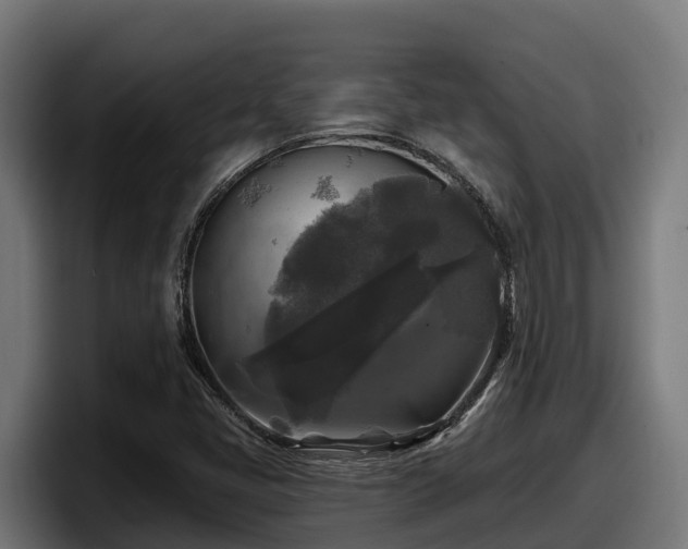 X0000097851405200803201529