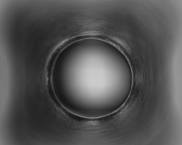 X0000097851406200803201529