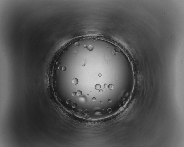 X0000097851407200803201529