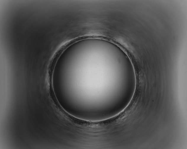 X0000097851408200803201529