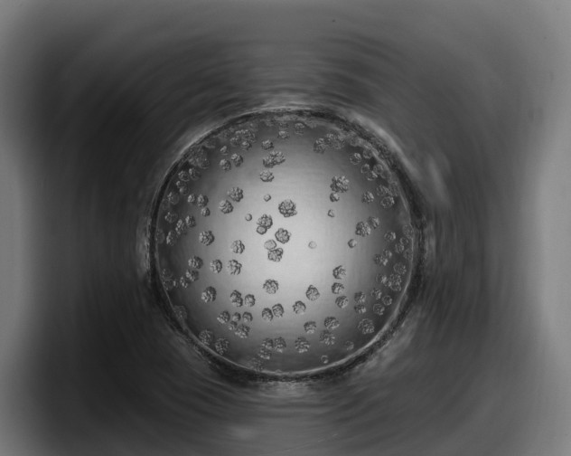 X0000097851409200803201529