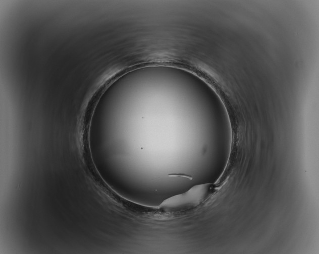 X0000097851410200803201529