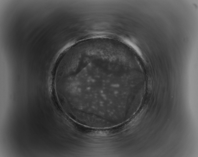 X0000097851411200803201529