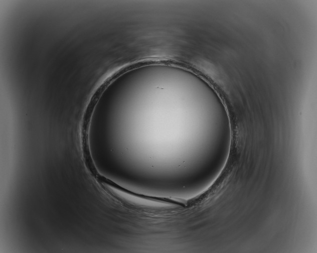 X0000097851412200803201529
