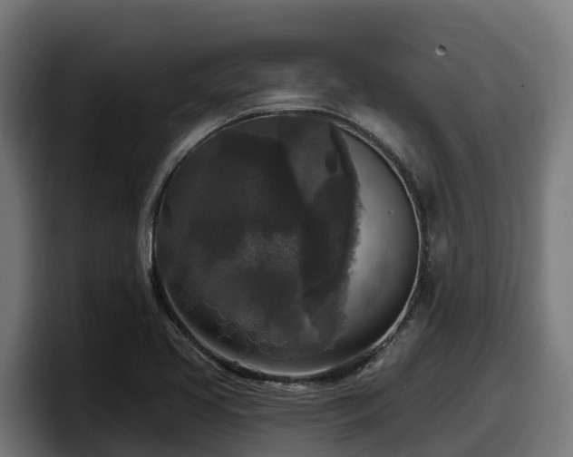 X0000097851413200803201529