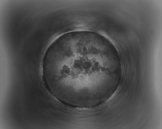 X0000097851415200803201529