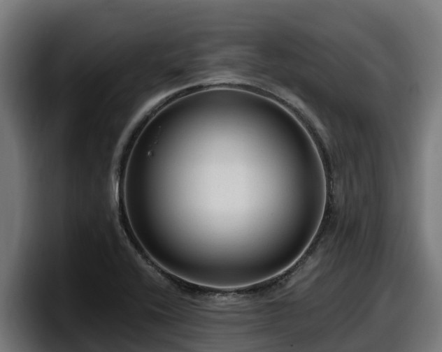 X0000097851416200803201529