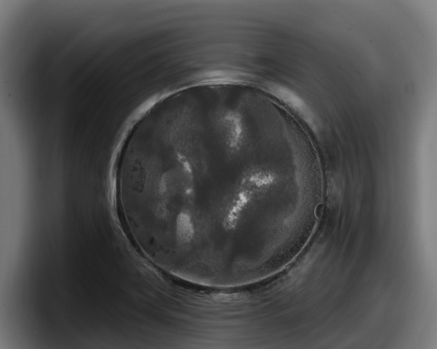 X0000097851419200803201529