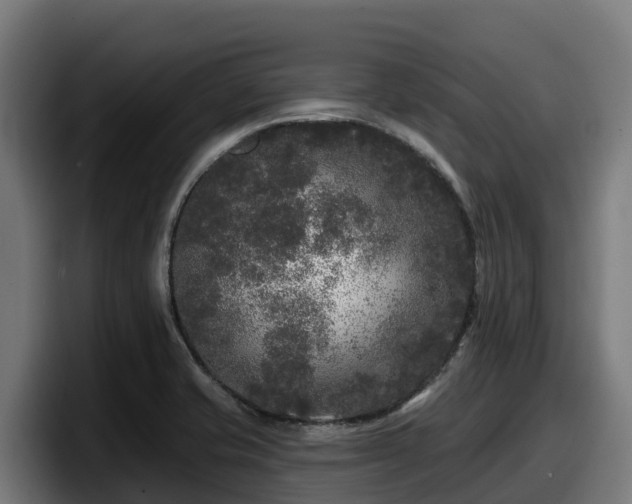 X0000097851421200803201529