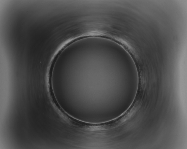 X0000097851422200803201529