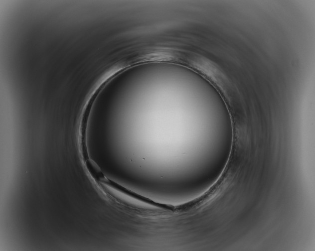 X0000097851426200803201529