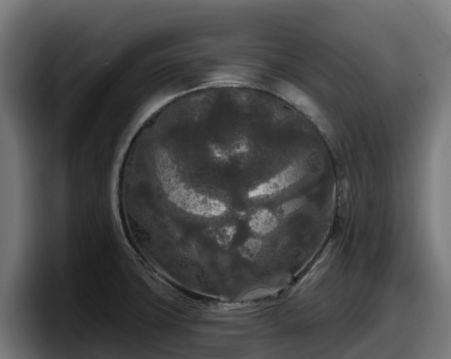X0000097851427200803201529