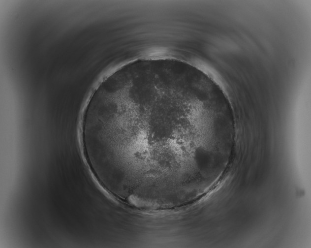 X0000097851429200803201529