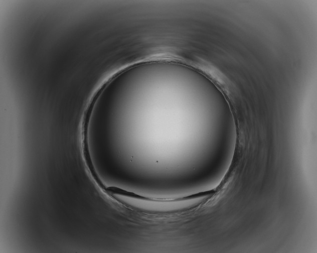 X0000097851430200803201529