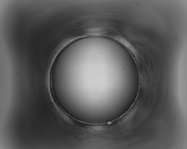 X0000097851431200803201529