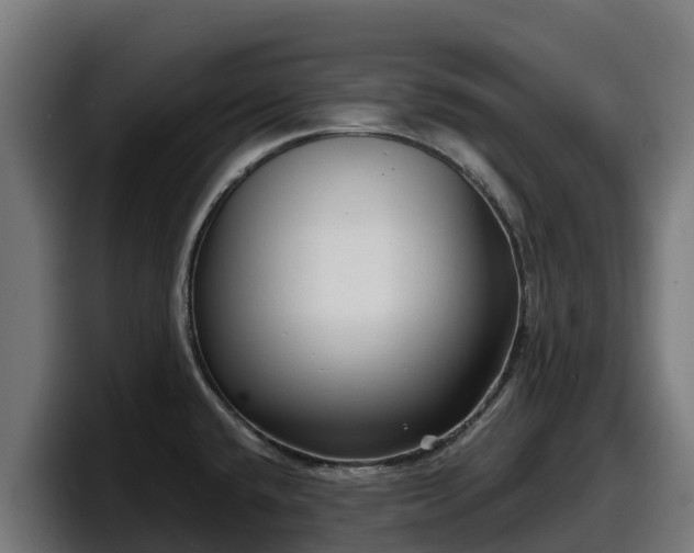 X0000097851432200803201529