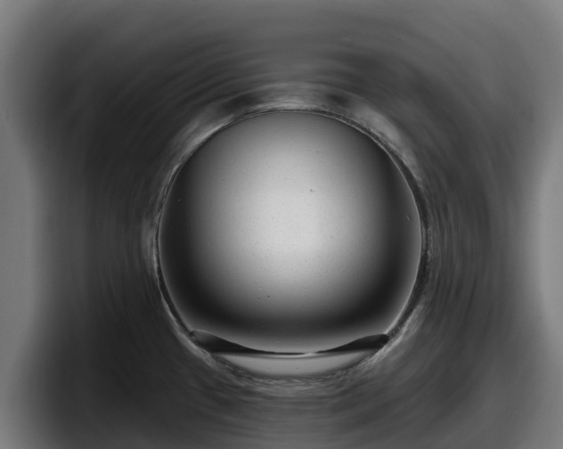 X0000097851433200803201529