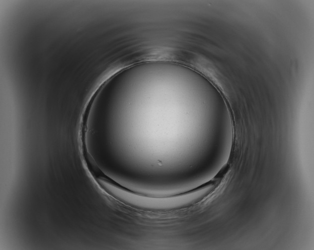 X0000097851434200803201529