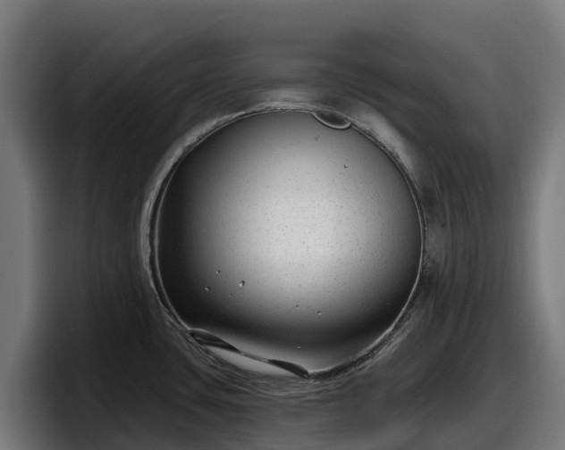 X0000097851435200803201529