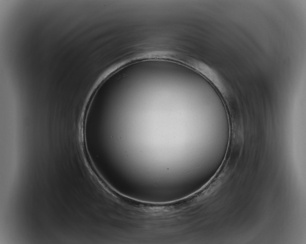 X0000097851436200803201529